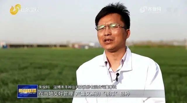 淄博:高度重视种业科技创新,牵头承担育种工程项目